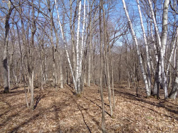 $256,000 | 2115 210th Street, Centuria, WI 54824