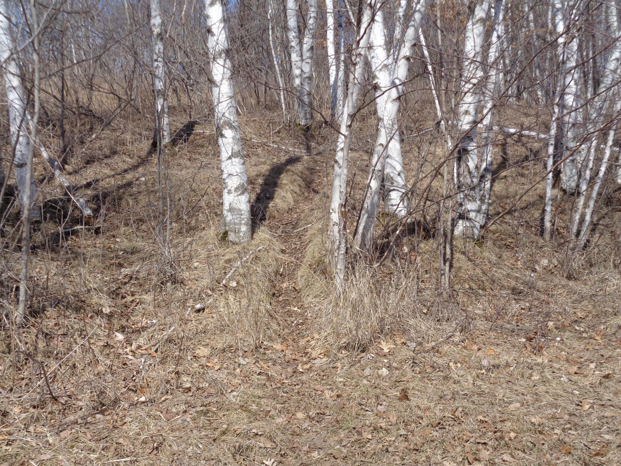 2115 210th Street Centuria, WI 54824 - Photo 22 of 40