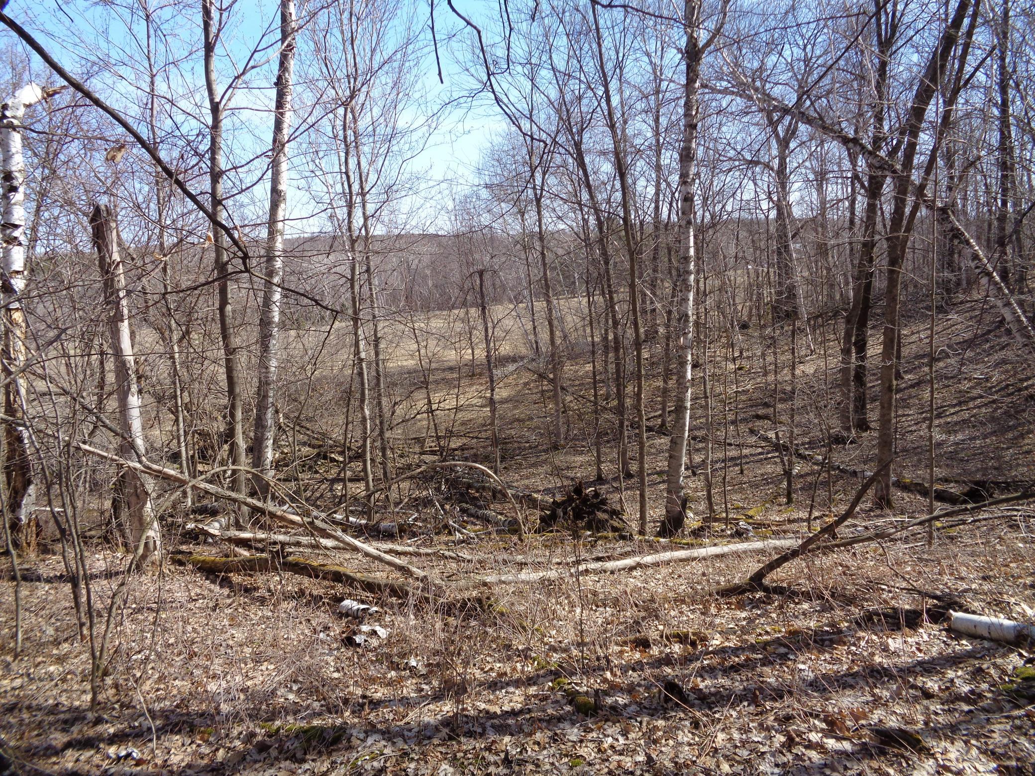 2115 210th Street Centuria, WI 54824 - Photo 24 of 40