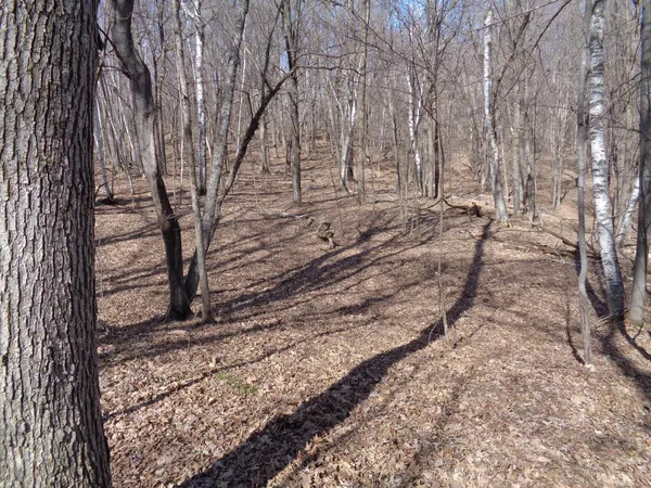 $256,000 | 2115 210th Street, Centuria, WI 54824