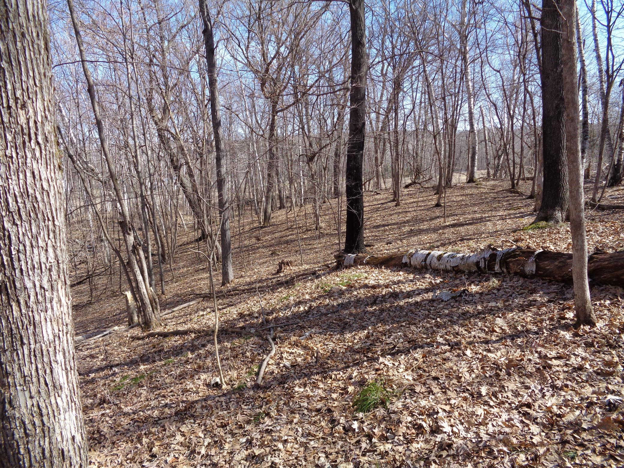 2115 210th Street Centuria, WI 54824 - Photo 26 of 40