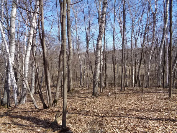 $256,000 | 2115 210th Street, Centuria, WI 54824