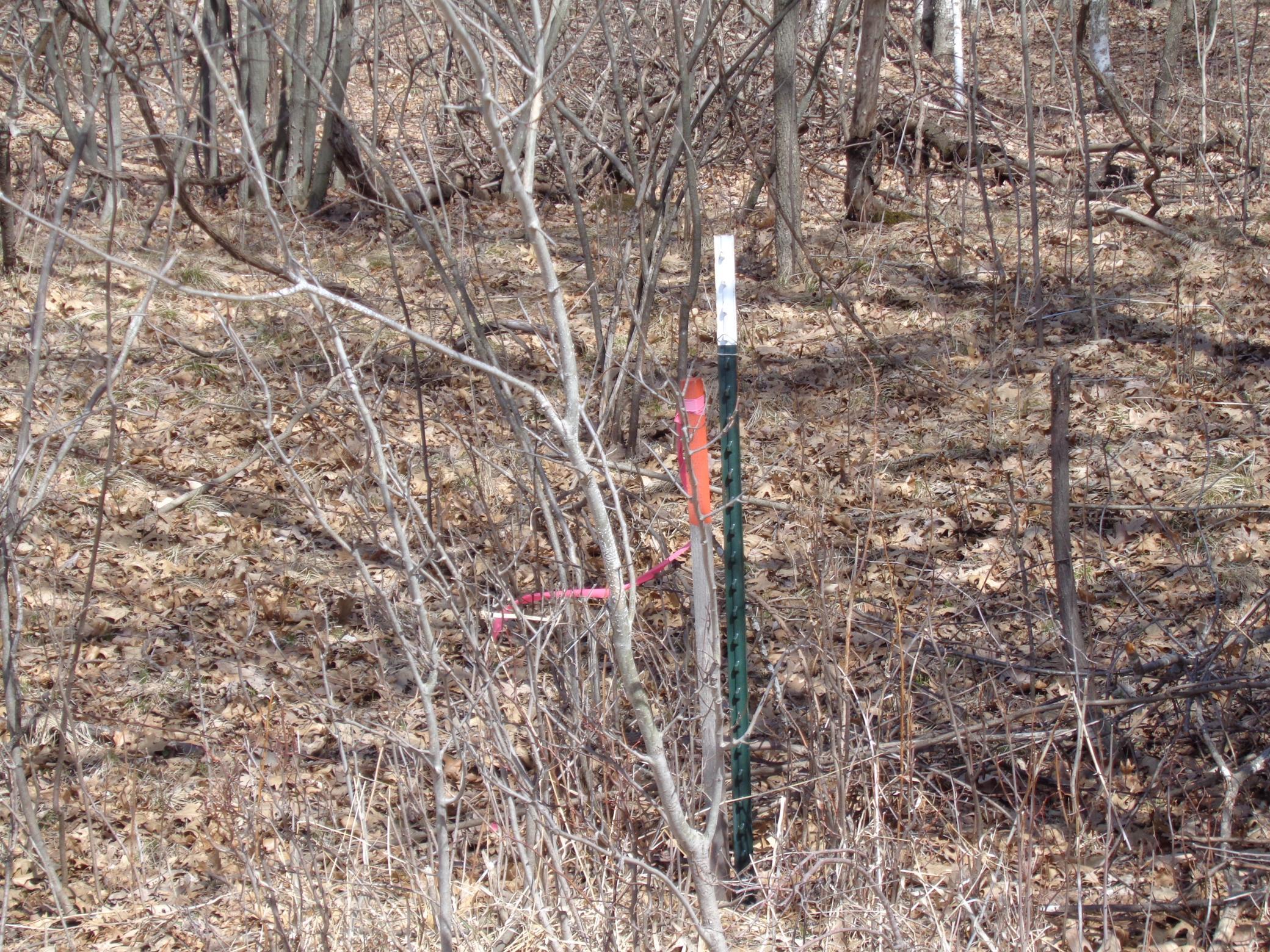 2115 210th Street Centuria, WI 54824 - Photo 28 of 40