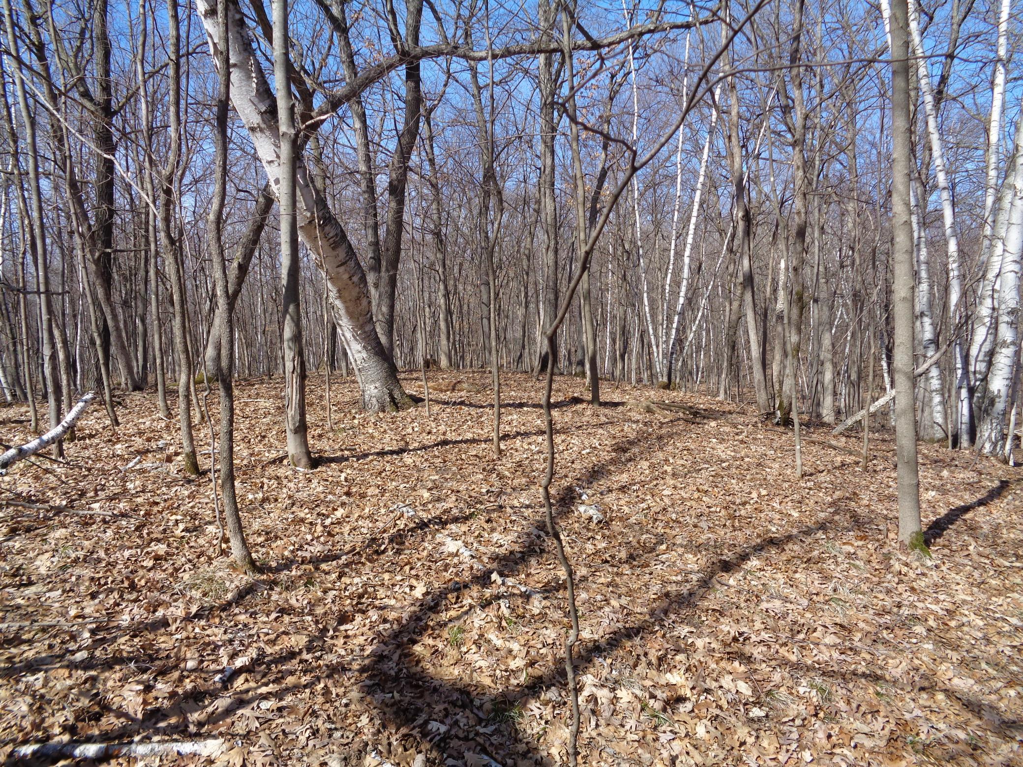 2115 210th Street Centuria, WI 54824 - Photo 29 of 40