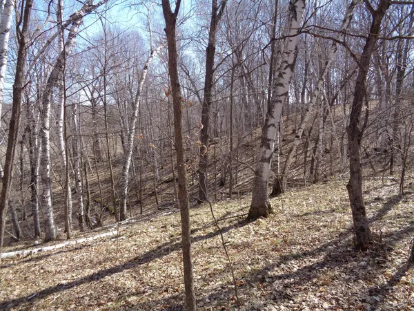 $256,000 | 2115 210th Street, Centuria, WI 54824