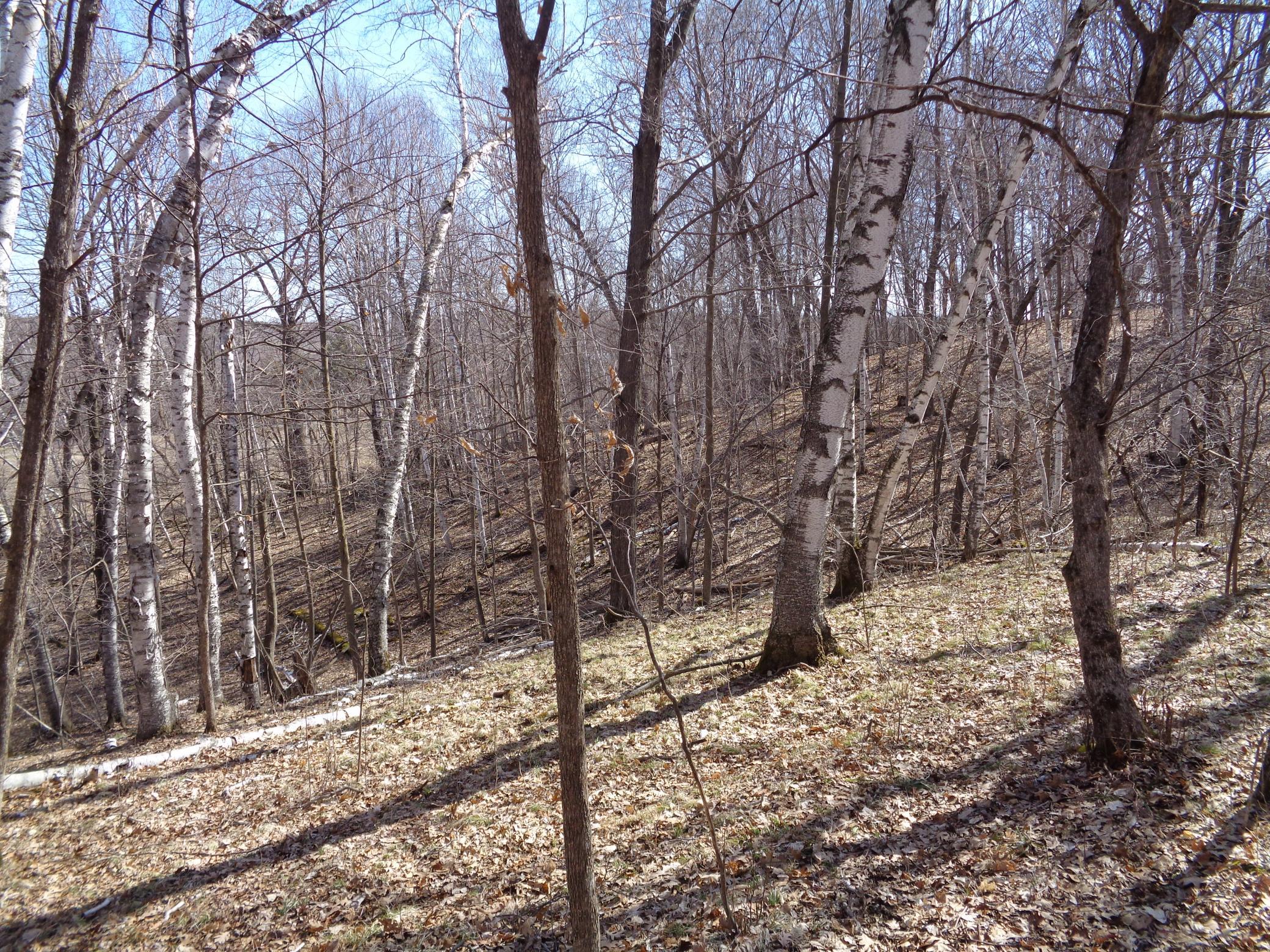 2115 210th Street Centuria, WI 54824 - Photo 30 of 40