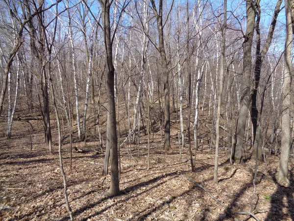 $256,000 | 2115 210th Street, Centuria, WI 54824