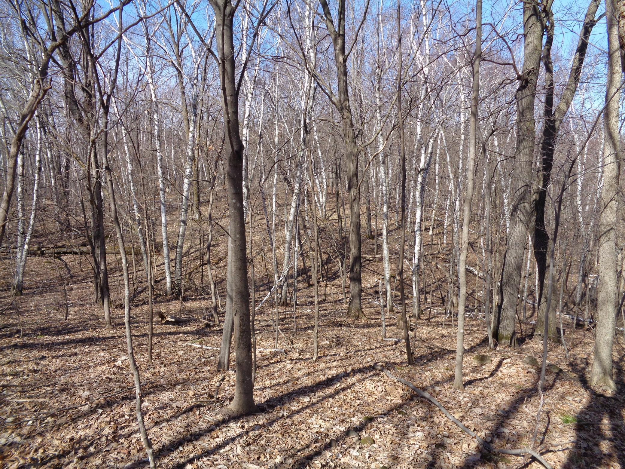 2115 210th Street Centuria, WI 54824 - Photo 31 of 40