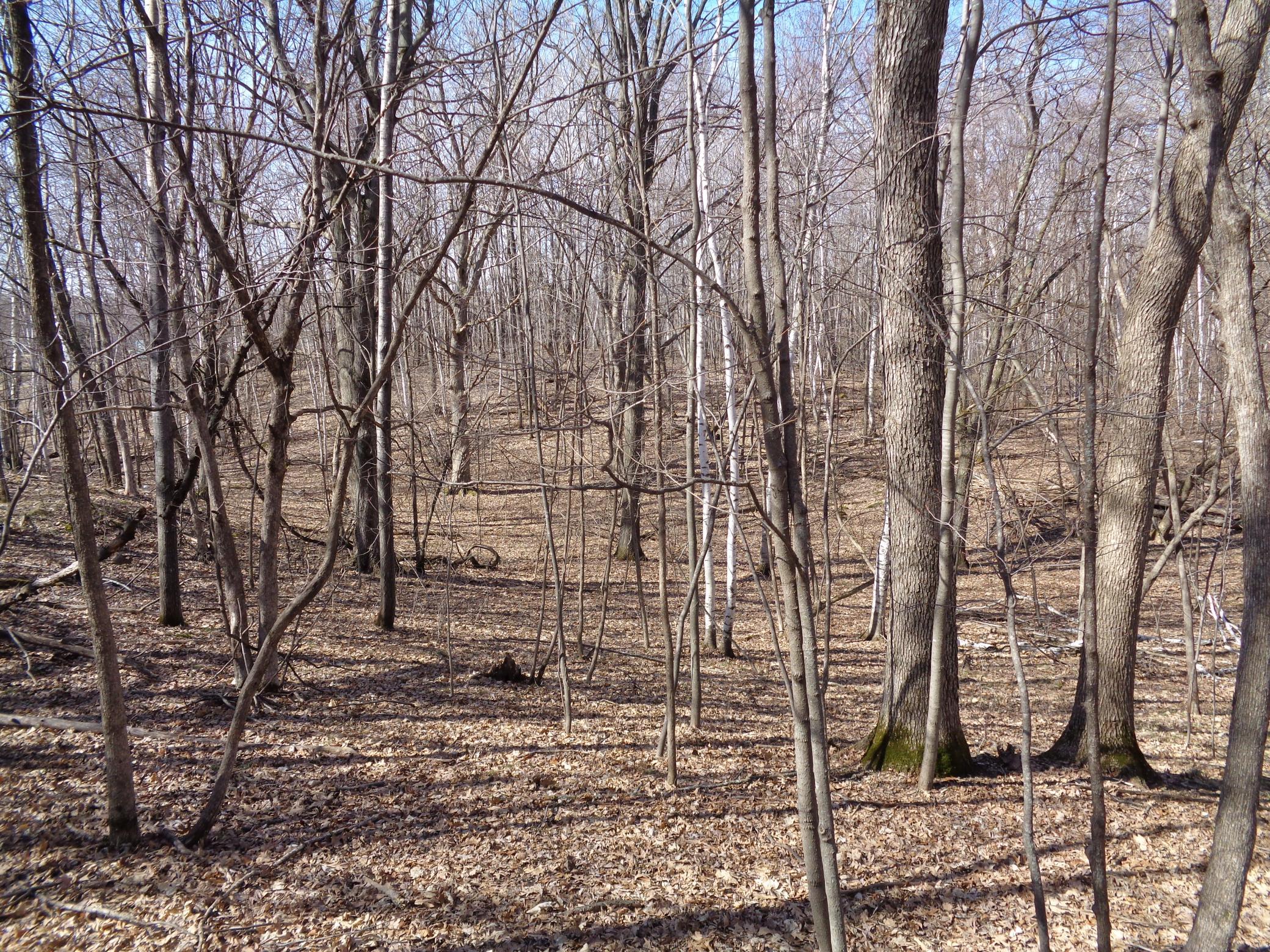 2115 210th Street Centuria, WI 54824 - Photo 32 of 40