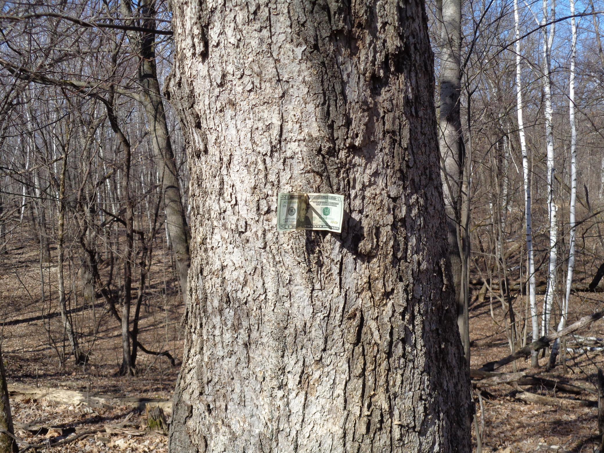 2115 210th Street Centuria, WI 54824 - Photo 33 of 40