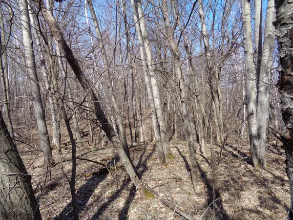 $256,000 | 2115 210th Street, Centuria, WI 54824