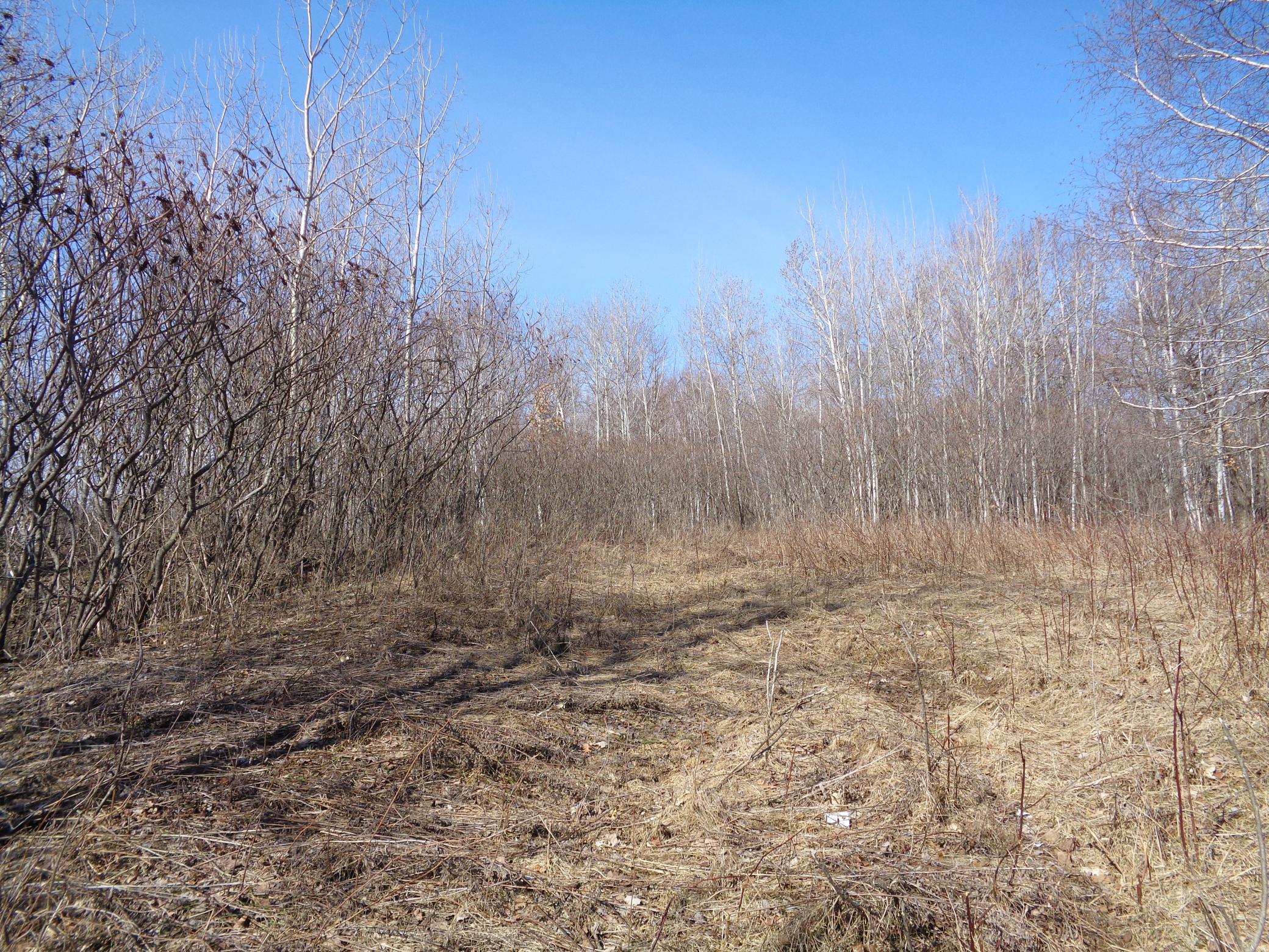 2115 210th Street Centuria, WI 54824 - Photo 37 of 40