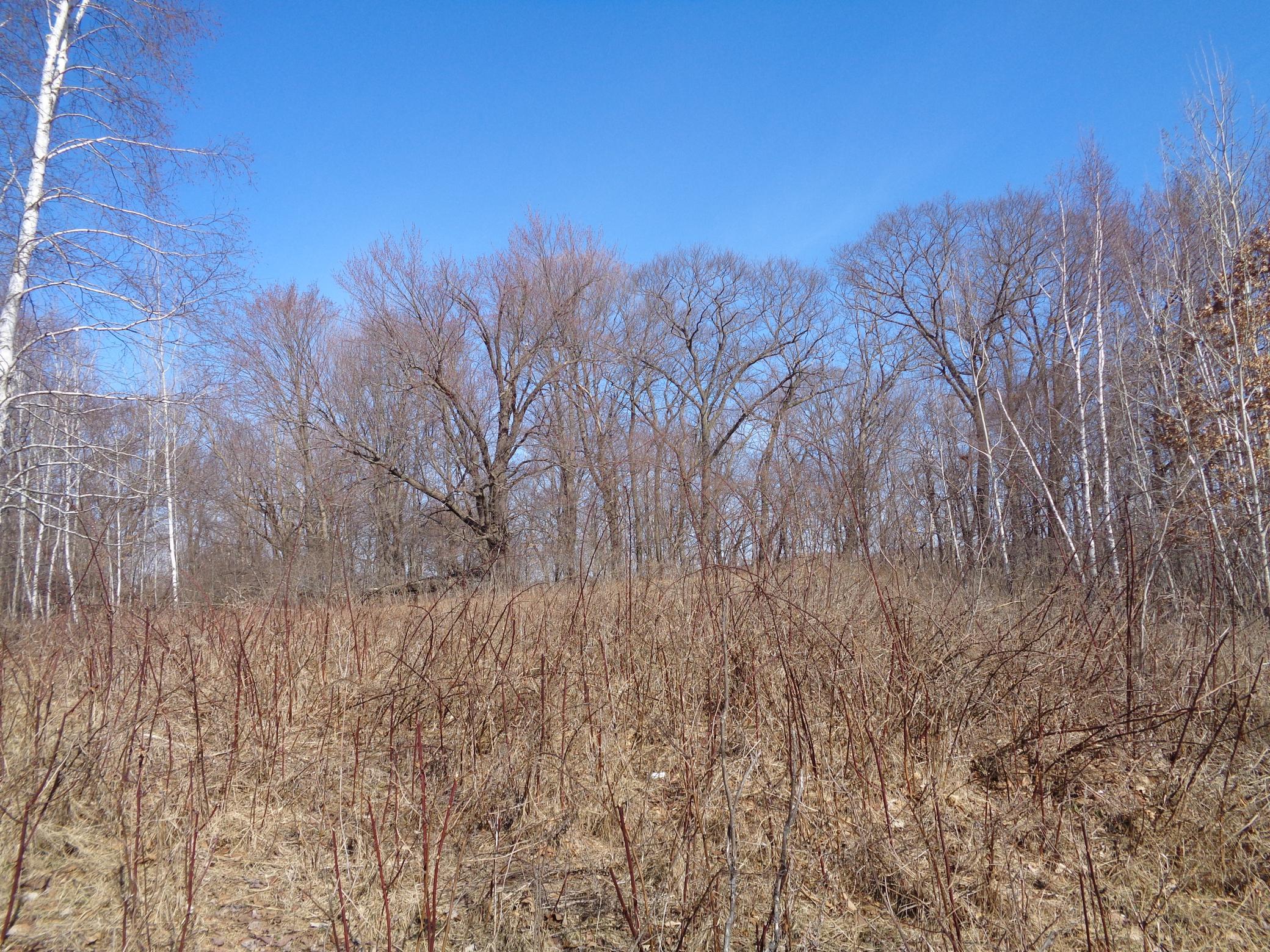 2115 210th Street Centuria, WI 54824 - Photo 38 of 40