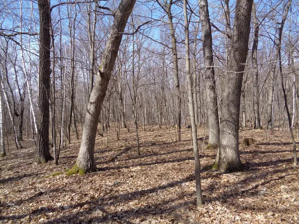 $256,000 | 2115 210th Street, Centuria, WI 54824