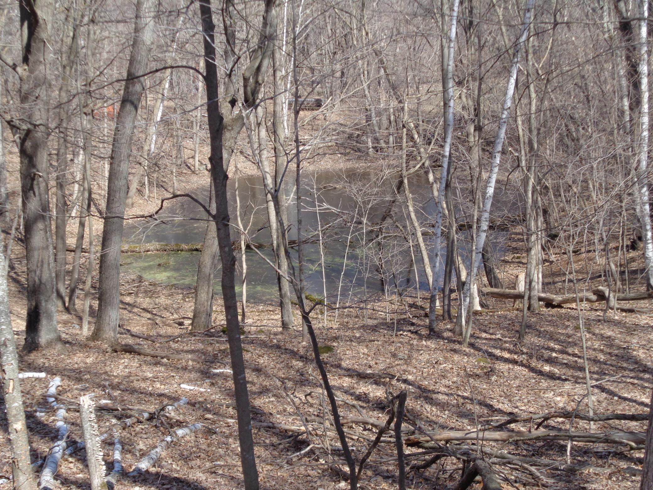 2115 210th Street Centuria, WI 54824 - Photo 10 of 40