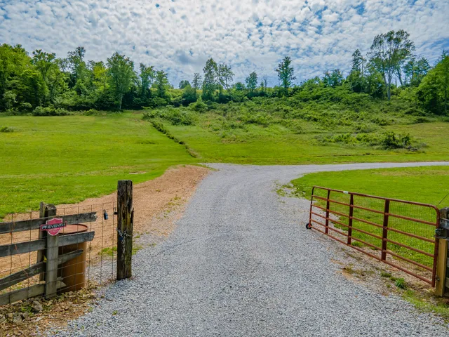 a view of a garden with an outdoor space