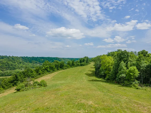 a view of a big yard with lots of green space