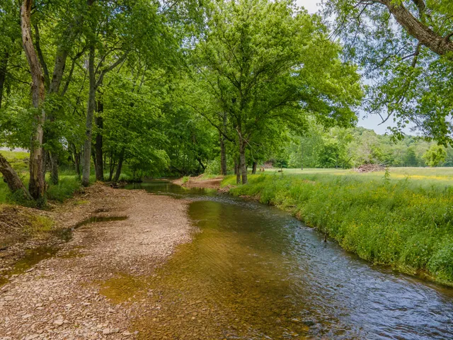 a view of a lake with green space