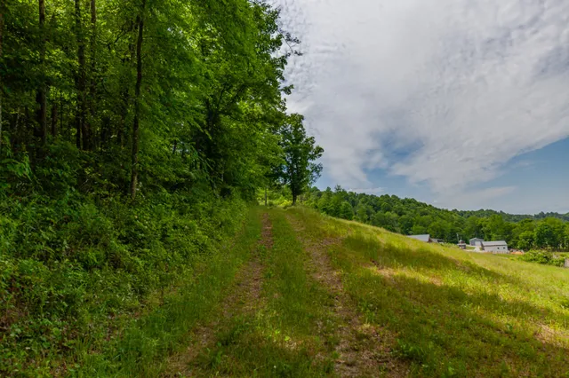 $1,390,000 | 14035 Campbellsville Road, Lynnville, TN 38472