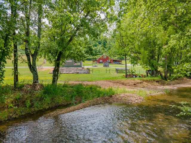 a green field with lots of trees in it