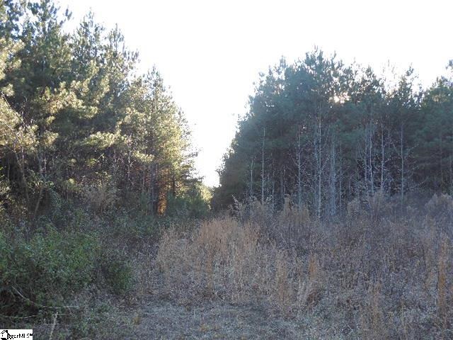 868 Dunklin Bridge Road Fountain Inn, SC 29644 - Photo 1 of 1 Gallery Image 1