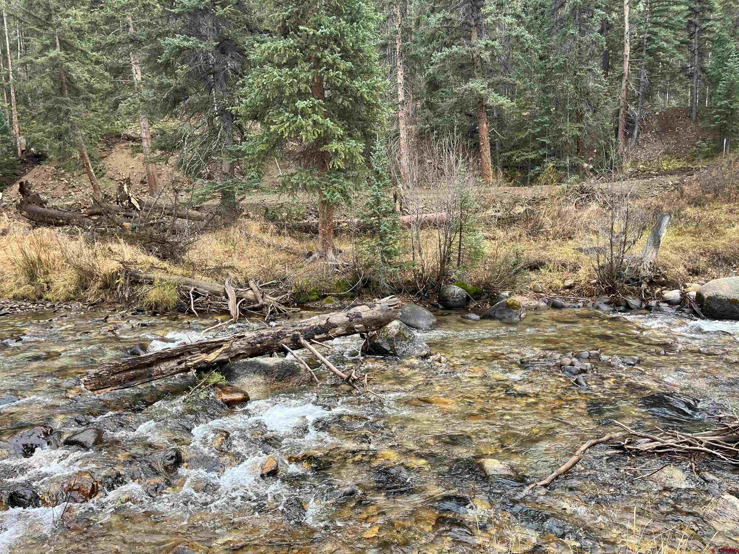 Tbd 11th Street Pitkin, CO 81241 - Photo 11 of 14 a view of a forest with trees