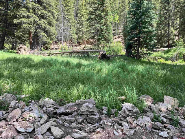 a view of a lush green park