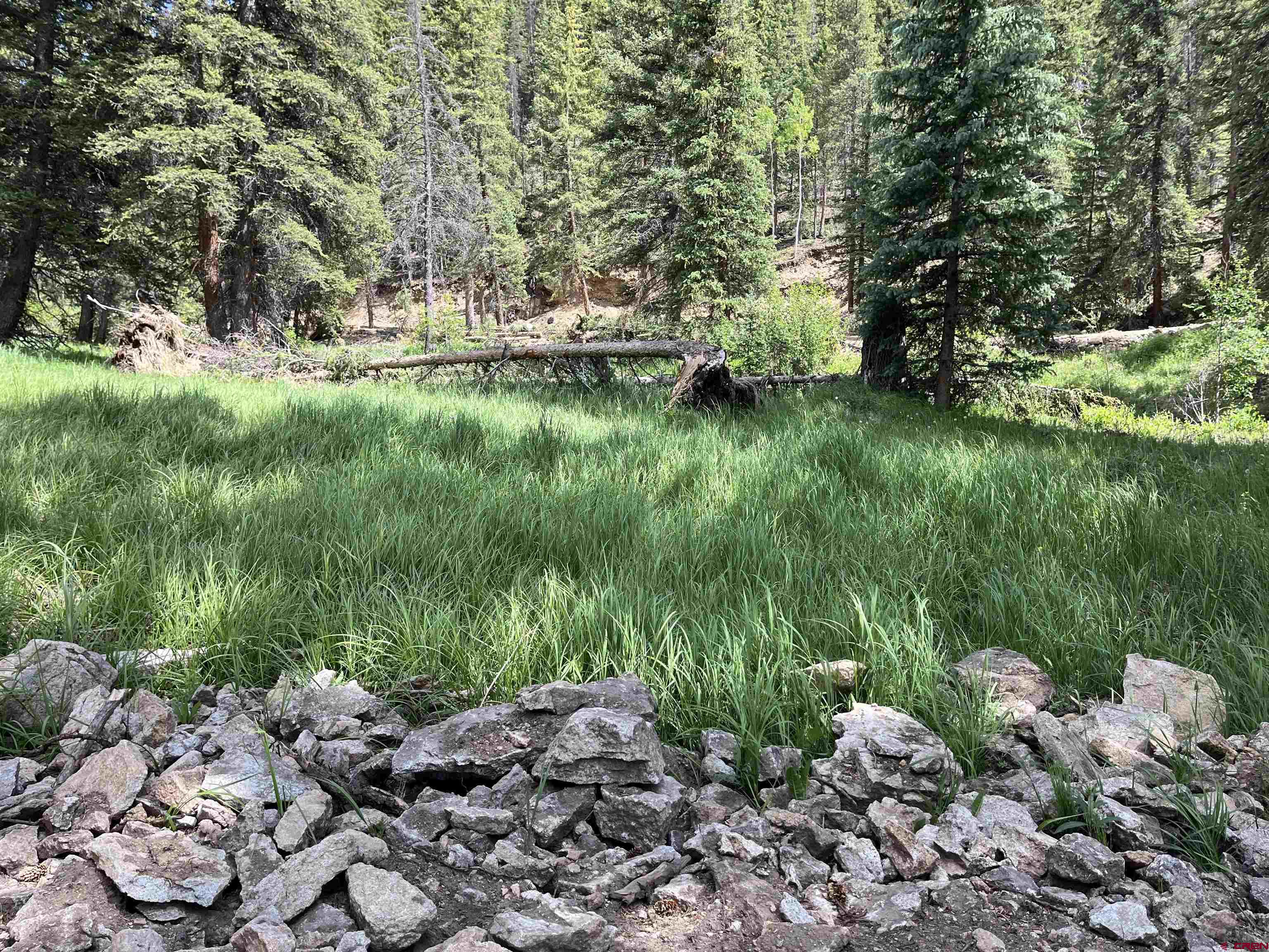 Tbd 11th Street Pitkin, CO 81241 - Photo 3 of 14 a view of a lush green park