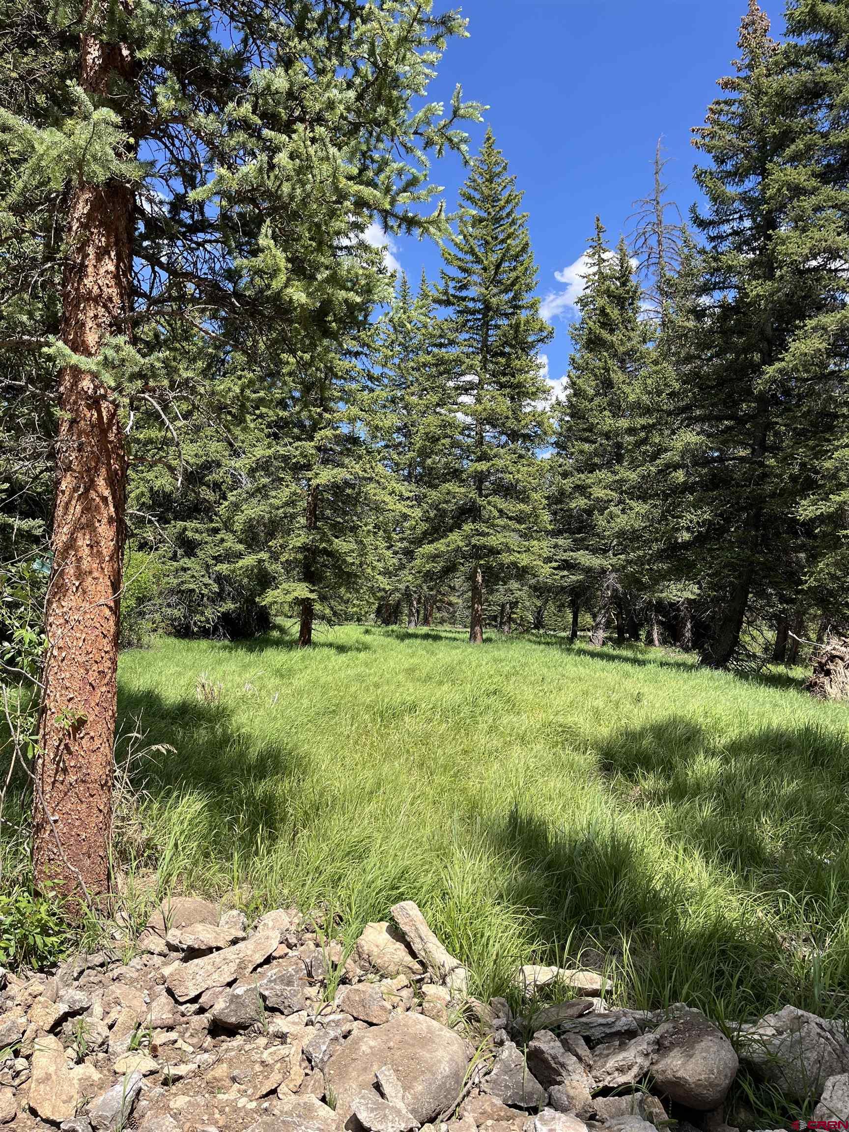 Tbd 11th Street Pitkin, CO 81241 - Photo 4 of 14 a backyard of a house with lots of green space