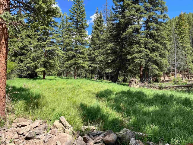 a view of yard with green space