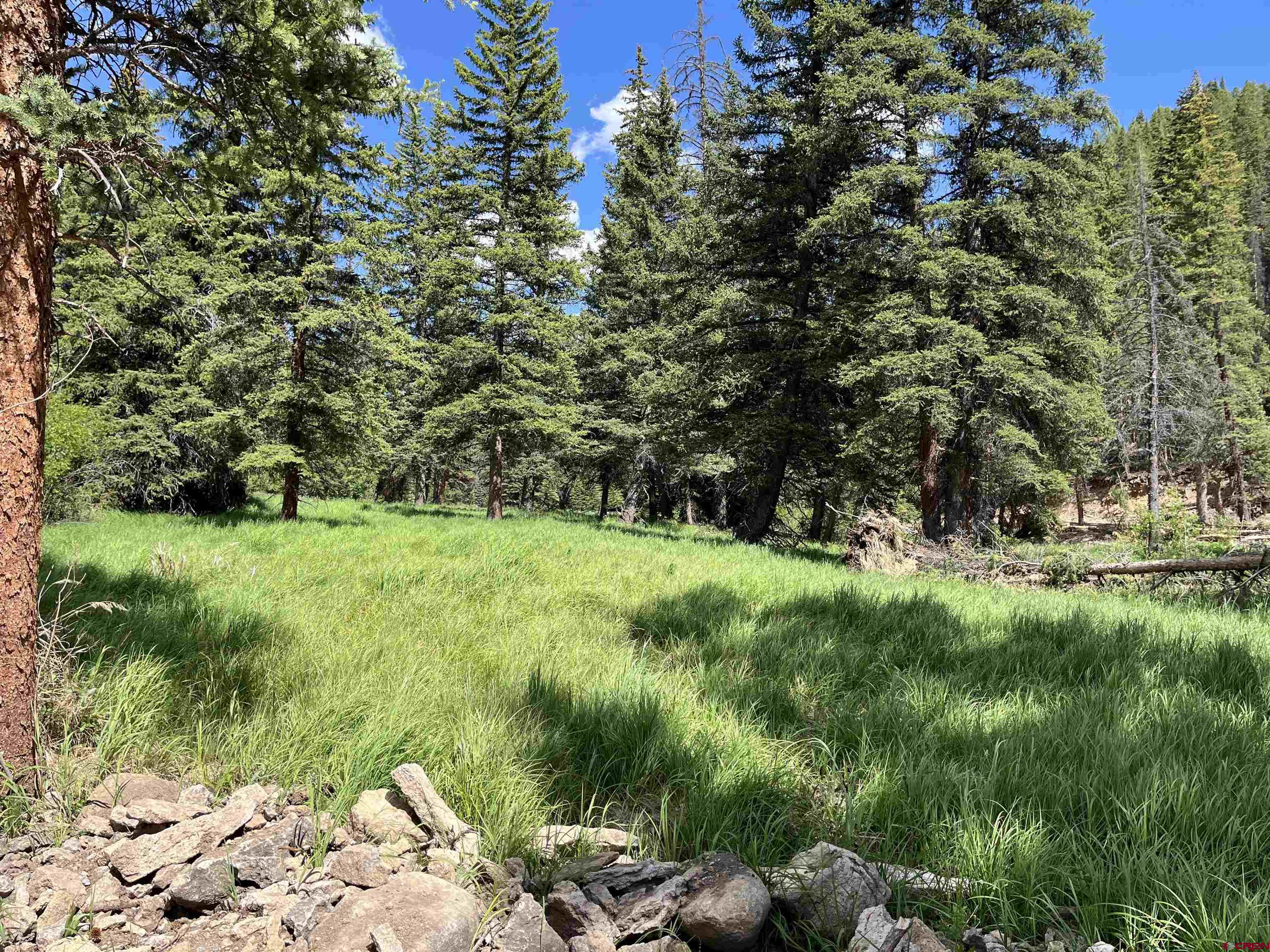 Tbd 11th Street Pitkin, CO 81241 - Photo 7 of 14 a view of yard with green space