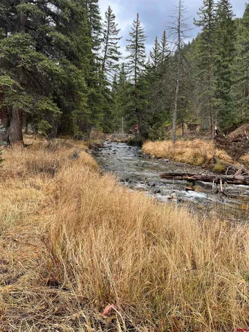 a view of a yard with wooden fence