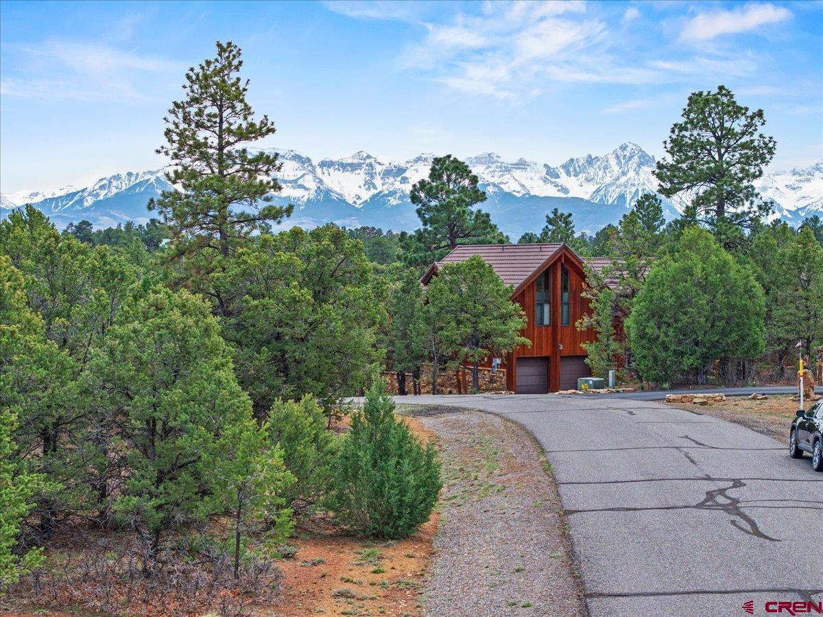 Tbd Cottontail Lane Ridgway, CO 81432 - Photo 11 of 13