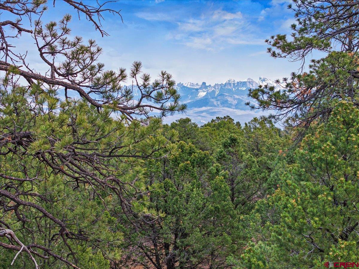 Tbd Cottontail Lane Ridgway, CO 81432 - Photo 13 of 13 a view of a bunch of plants and trees in the background