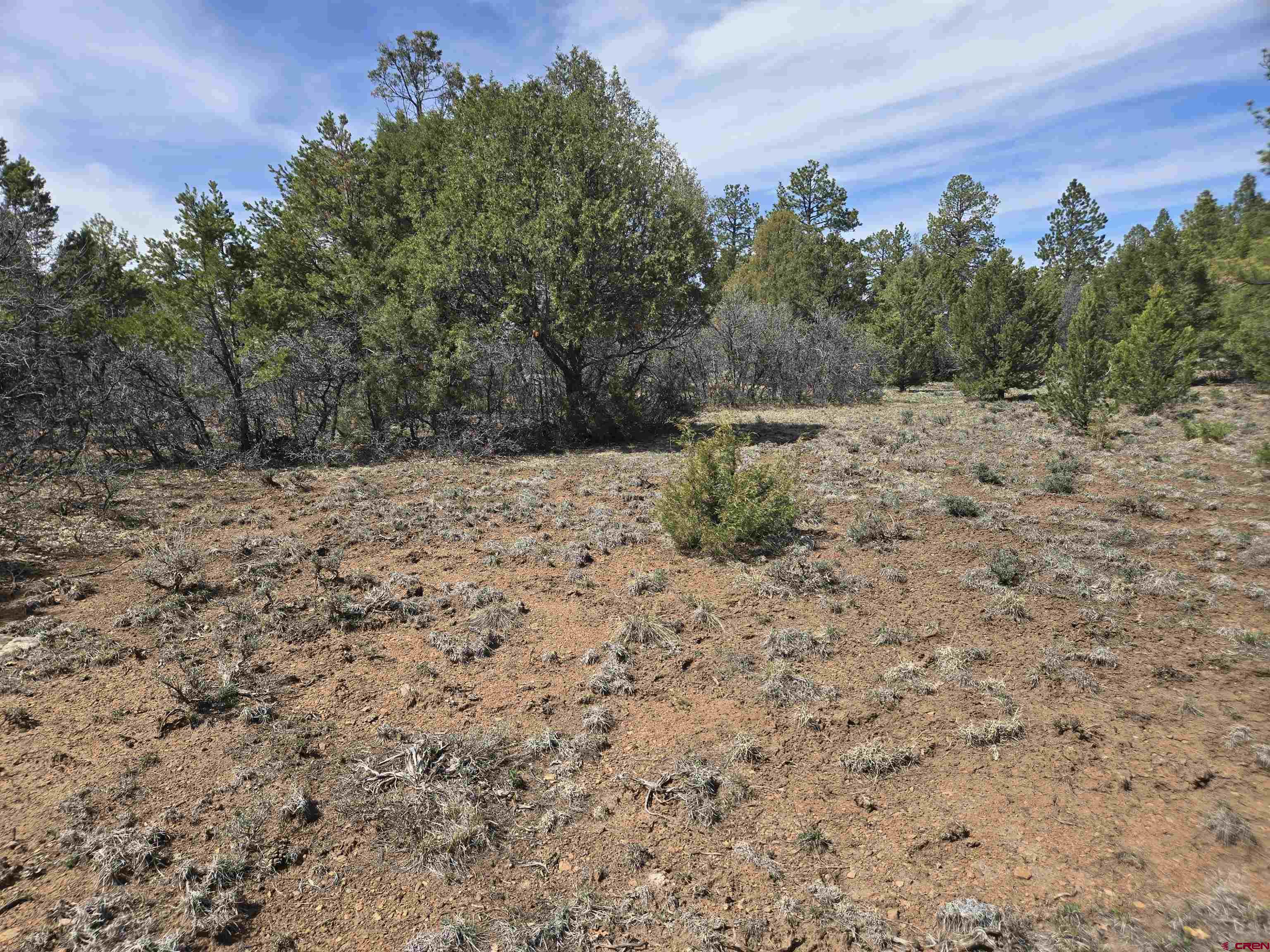 Tbd Cottontail Lane Ridgway, CO 81432 - Photo 3 of 6 a view of a yard with a tree