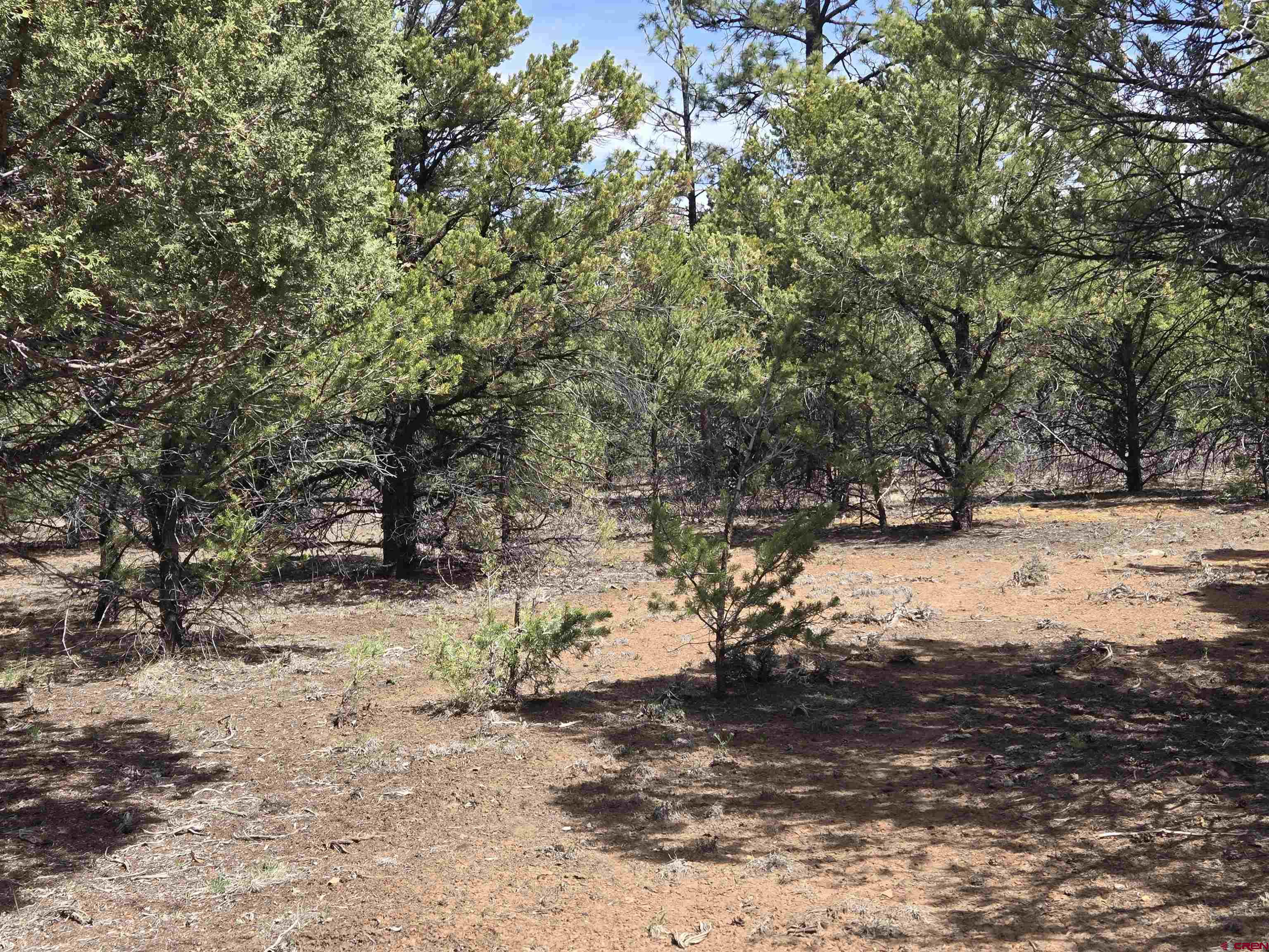 Tbd Cottontail Lane Ridgway, CO 81432 - Photo 5 of 6 a view of snow on a yard