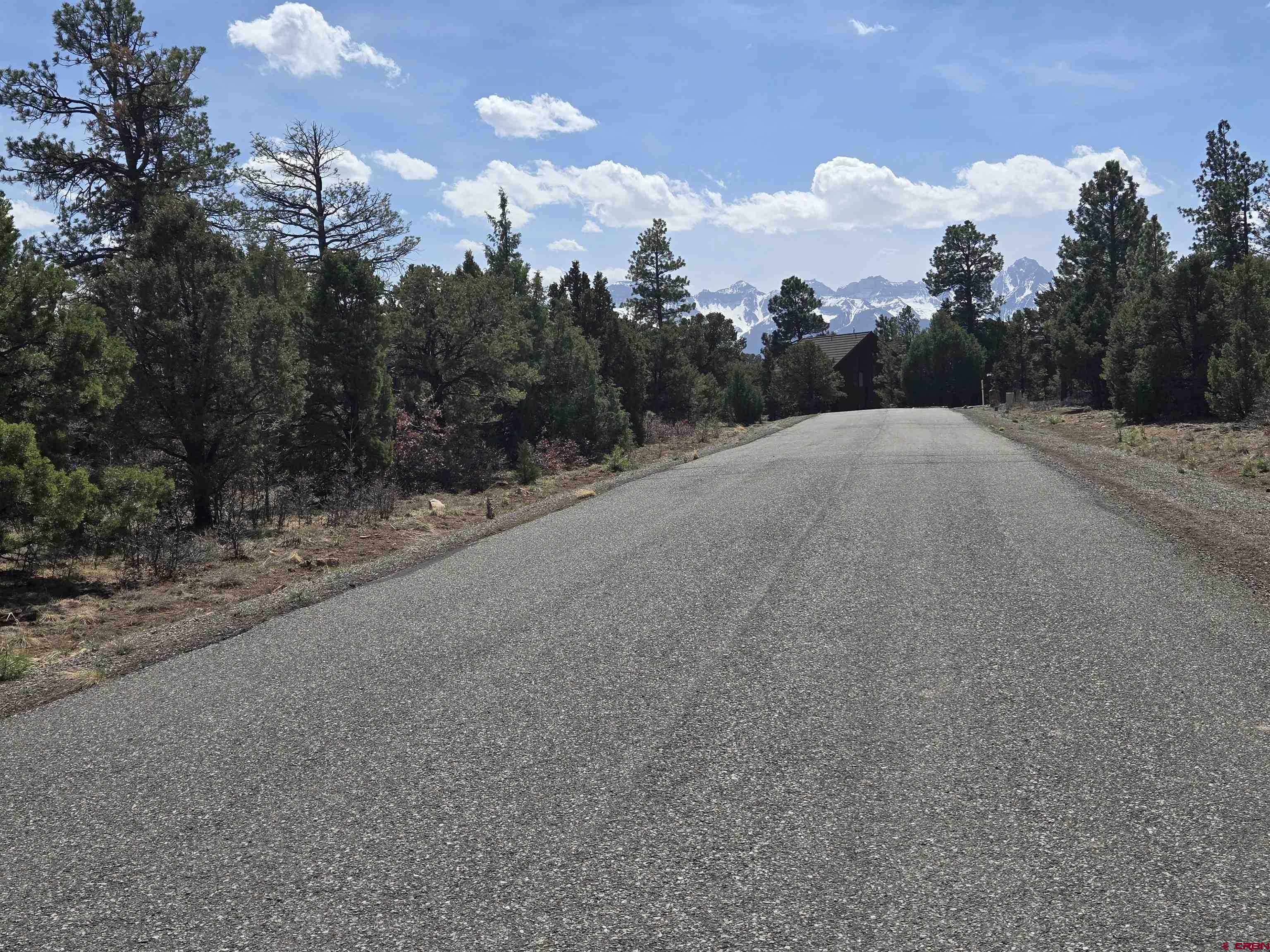 Tbd Cottontail Lane Ridgway, CO 81432 - Photo 6 of 6 a view of a street
