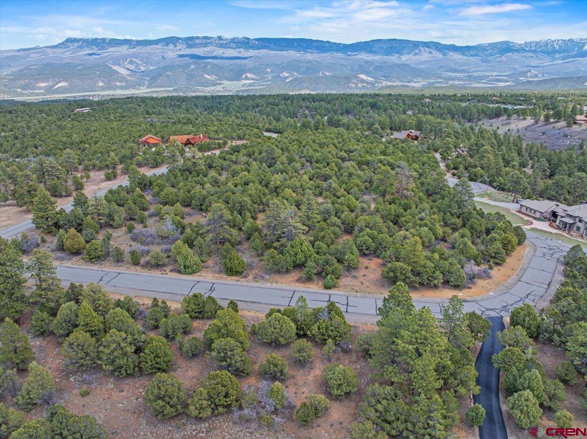 Tbd Cottontail Lane Ridgway, CO 81432 - Photo 10 of 13 a view of a lush green hillside and a houses
