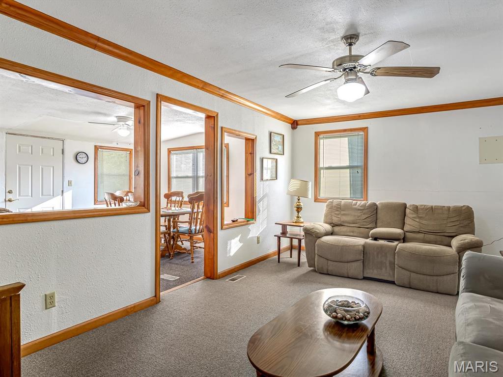 7066 White Swan Lane Red Bud, IL 62278 - Photo 8 of 15