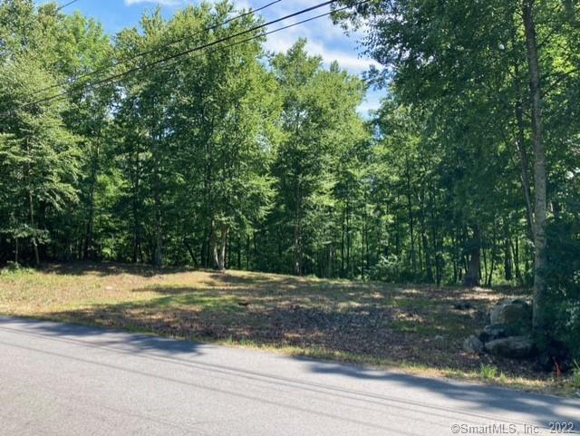 156 Ziegler Road Scotland, CT 06247 - Photo 1 of 1 a view of a yard with a tree