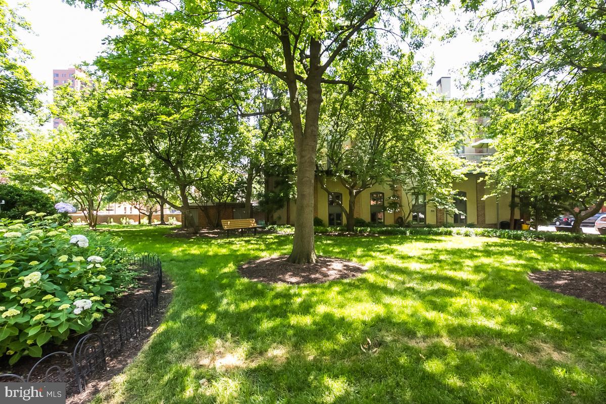 162 West Barre Street, Unit R21 Baltimore, MD 21201 - Photo 26 of 29 Beautiful Otterbein parks