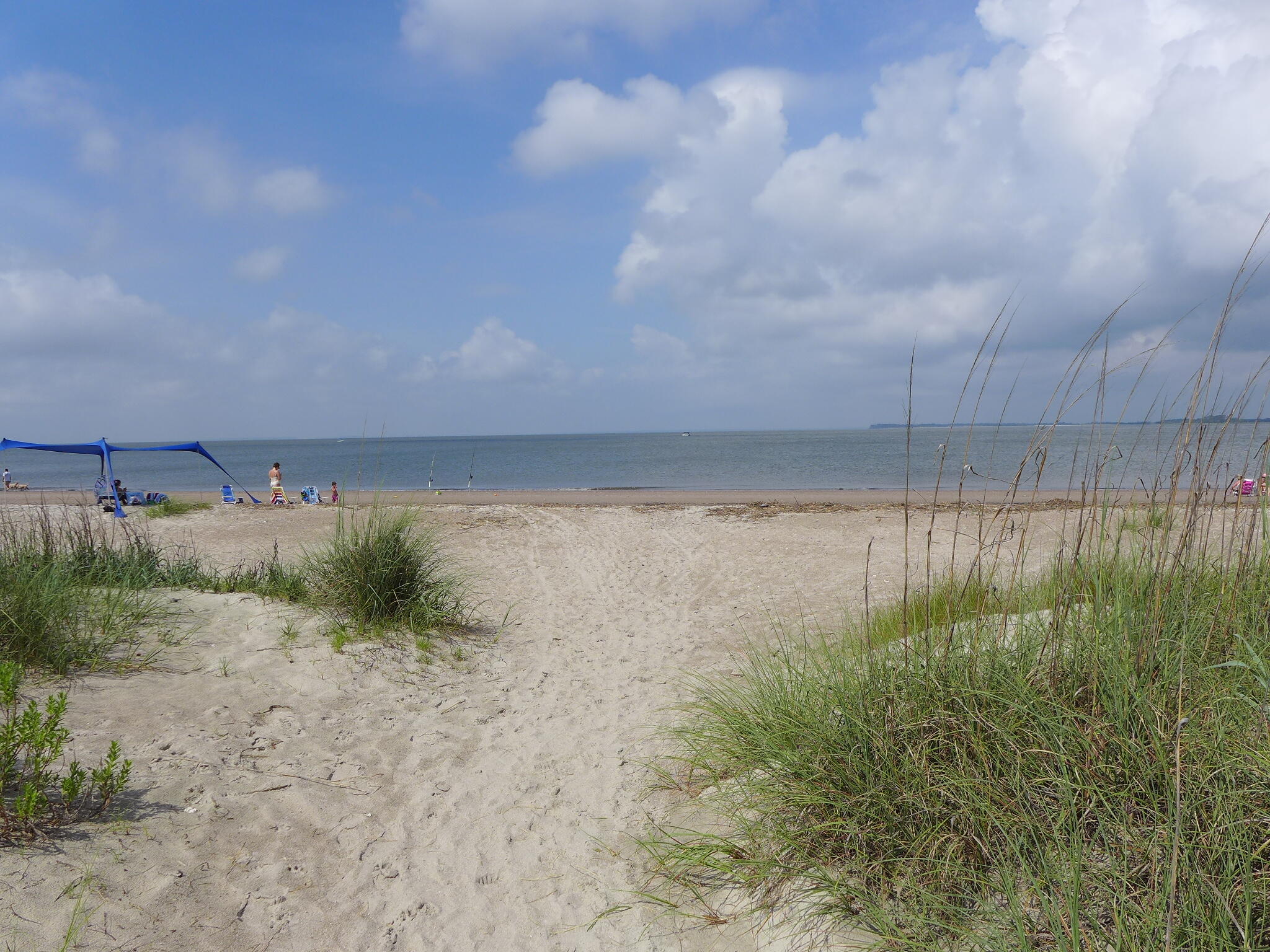 3332 Myrtle Street Edisto Island, SC 29438 - Photo 65 of 68 P1130015