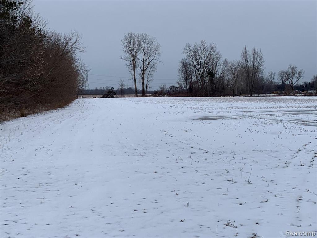 17010 34 Mile Road Armada, MI 48005 - Photo 4 of 5