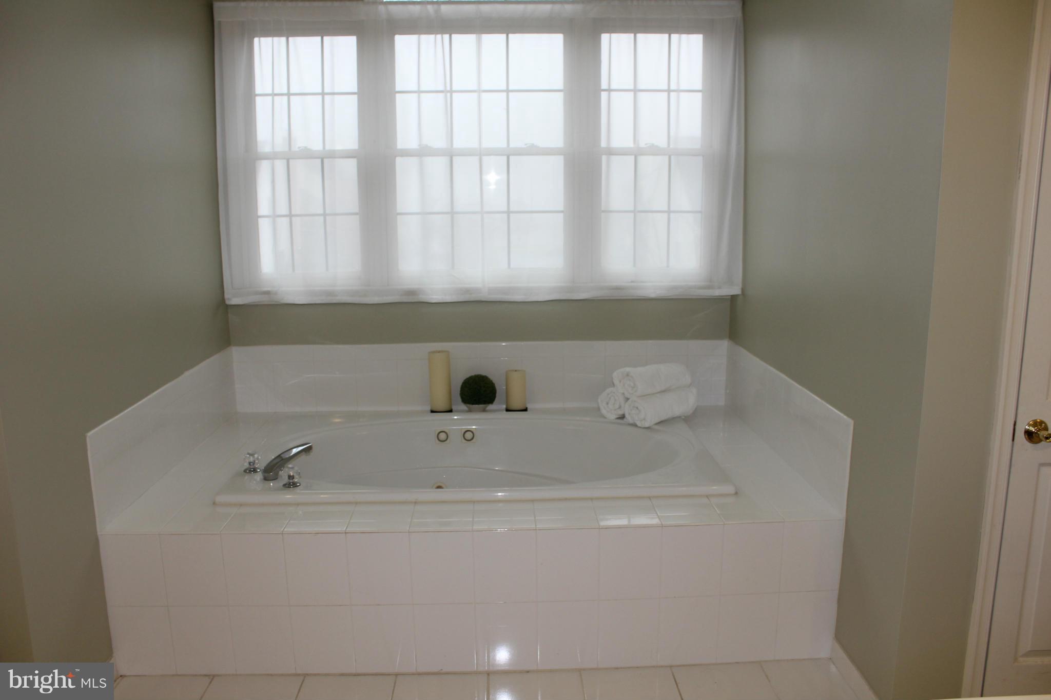 542 Coover Road Annapolis, MD 21401 - Photo 13 of 20 Bath (Master)