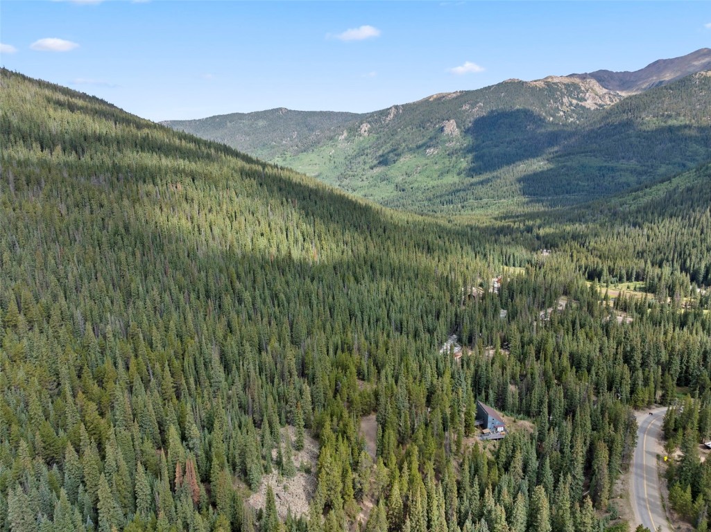 0 Montezuma Road Dillon, CO 80435 - Photo 7 of 11 Gallery Image 7