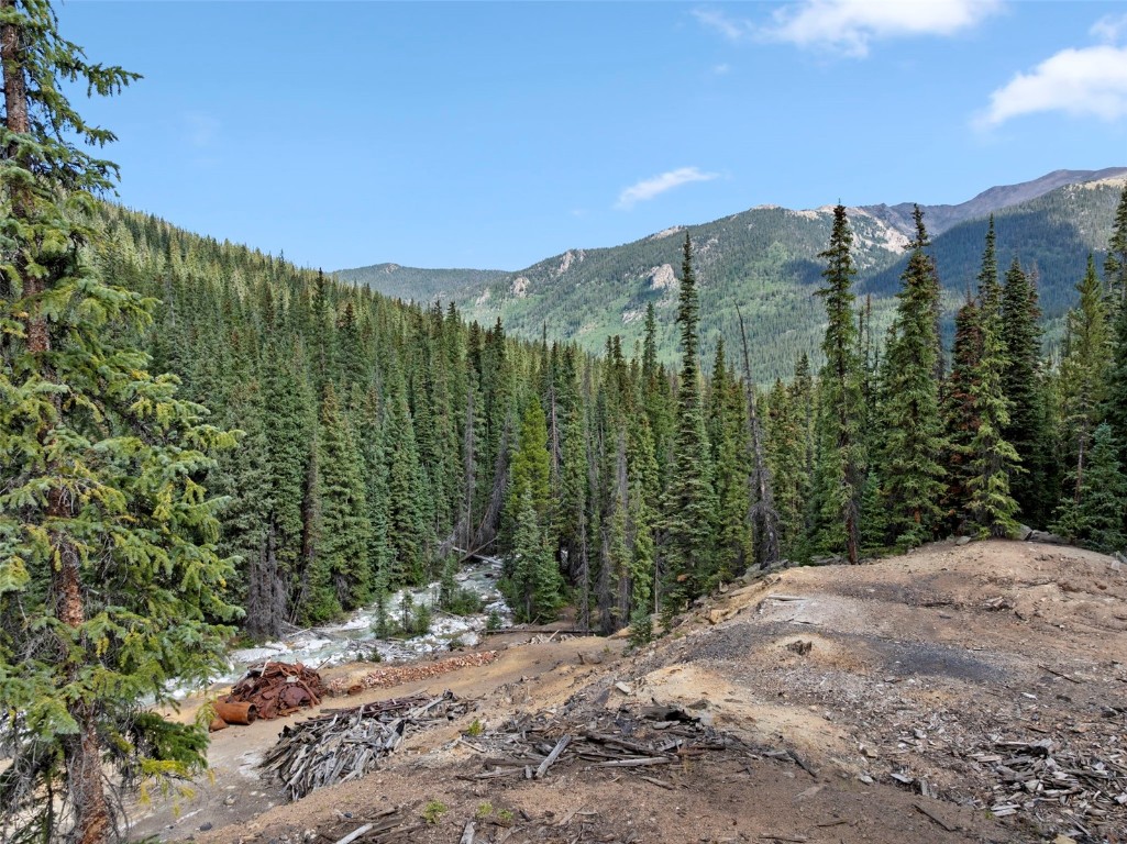 0 Montezuma Road Dillon, CO 80435 - Photo 8 of 11 Gallery Image 8