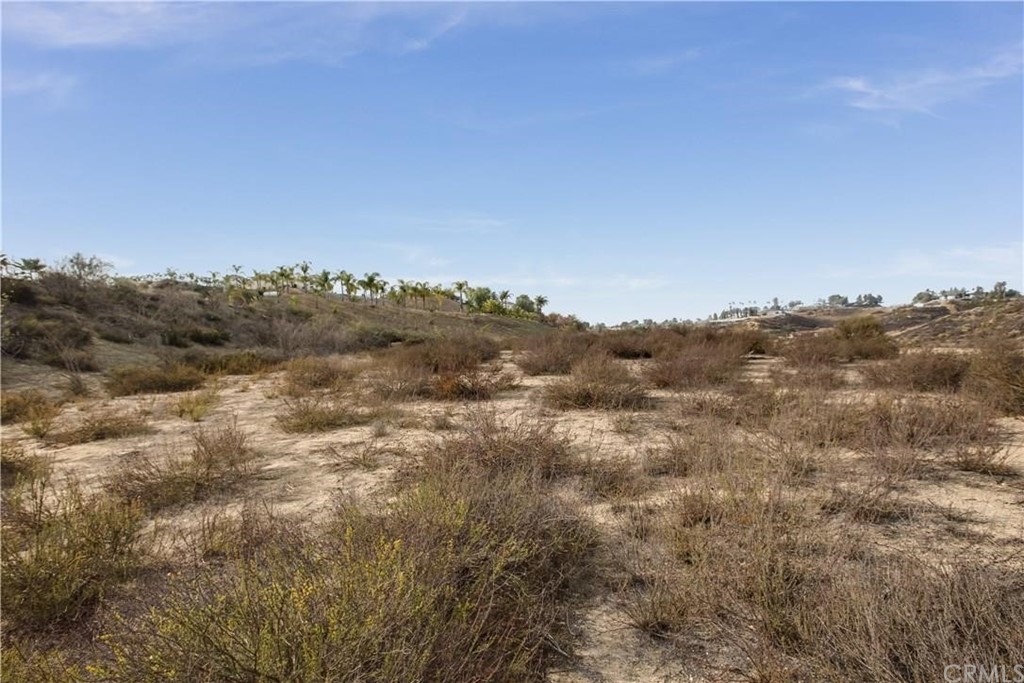 0 Santiago Temecula, CA 92592 - Photo 4 of 10 a view of a bunch of trees in a field