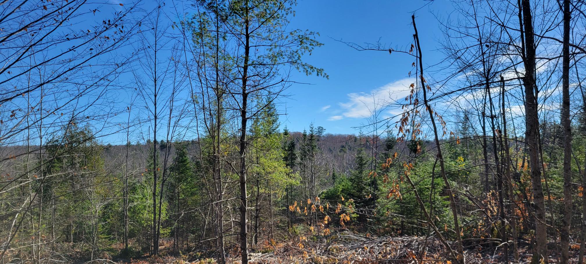 25-22 Back Troy Road Troy, ME 04987 - Photo 22 of 43 Lot 8