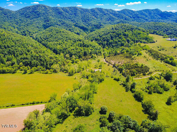 Tbd Clinch Mountain Road Lebanon, VA 24266 - Photo 7 of 12 IMG_4744