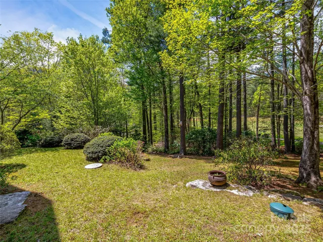 a view of backyard with a barn and a large tree